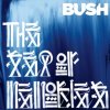 Cover Bush - The Sea of Memories