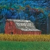 Hans Chew Tennessee & Other Stories cover