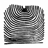 Podiuminfo recensie: Rival Consoles Howl