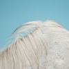 Cover Widowspeak - All Yours
