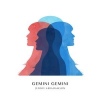 Jennie Abrahamson Gemini Gemini cover