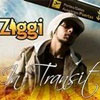 Ziggi – In Transit