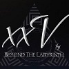 Cover Beyond The Labyrinth - xxV