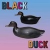 Cover Black Duck - Black Duck