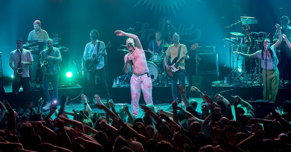Festivalinfo review: Splendid - 12/11 - Paard