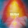 Cover Bush - Black And White Rainbows