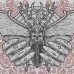 Complexity Fest