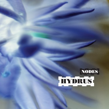 Hydrus