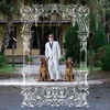 Cover Pet Symmetry - Pets Hounds
