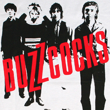 TheBuzzcocksgroot