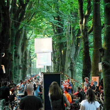 bosjesfestivalgroot