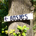 bosjesfestivalklein