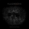 Cover Flugroove - Reinsonation