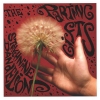 Festivalinfo recensie: The Parting Gifts Strychnine Dandelion