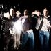 Wildbeasts2