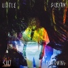 Cover Little Scream - Cult Following