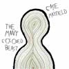 Case Mayfield The Many Colored Beast cover