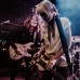 Larkin Poe news