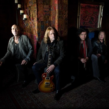 Govt Mule