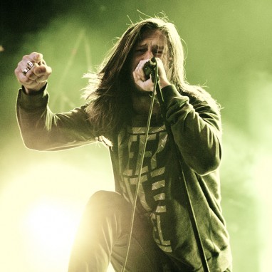 While She Sleeps