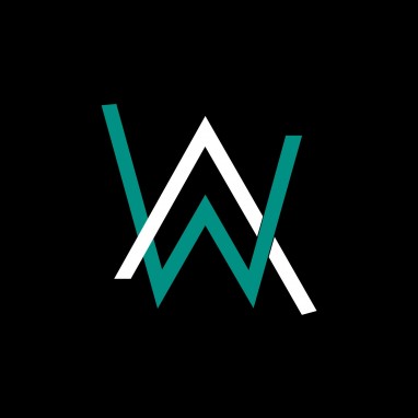 Alan Walker news_groot