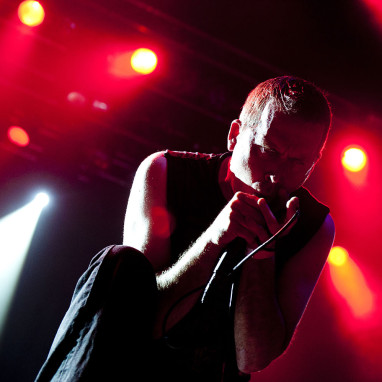 Cattle Decapitation news_groot