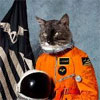 Klaxons Surfing The Void cover