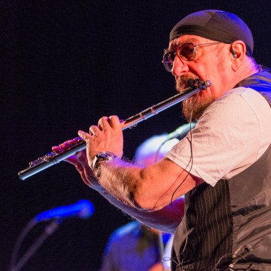 jethro tull