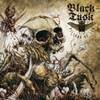Black Tusk Pillars Of Ash cover