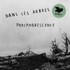 Dans Les Arbres Phosphorescence cover