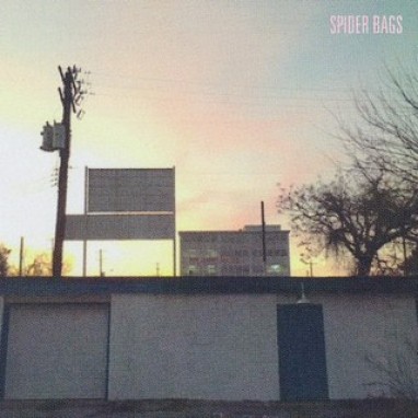 Spider Bags