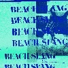 Beach Slang A Loud Bash Of Teenage Feelings cover
