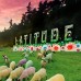 Latitude