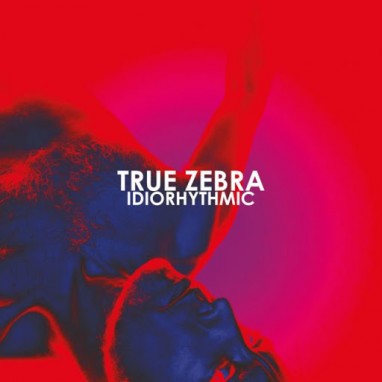 True Zebra