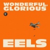 Cover Eels - Wonderful, Glorious