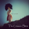 Cover Felix van Cleeff - The Crimson Sea