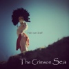 Festivalinfo recensie: Felix van Cleeff The Crimson Sea