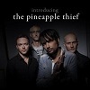 The Pineapple Thief Introducing... cover