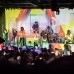 Superorganism 1