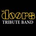 doorsinconcert