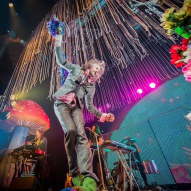 The Flaming Lips