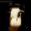 Cover The Pineapple Thief - 137
