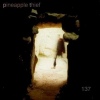 The Pineapple Thief 137 cover