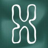 logo Valkhof Festival 