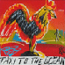 taxitotheocean-stnieuws
