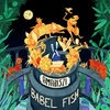 Cover Amariszi - Babel Fish