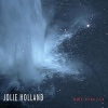 Cover Jolie Holland - Wine Dark Sea