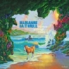 Marianne Faithfull Horses and High Heels cover