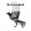 Festivalinfo recensie: The Common Linnets The Common Linnets