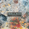 Cover Wallace - Des Demain